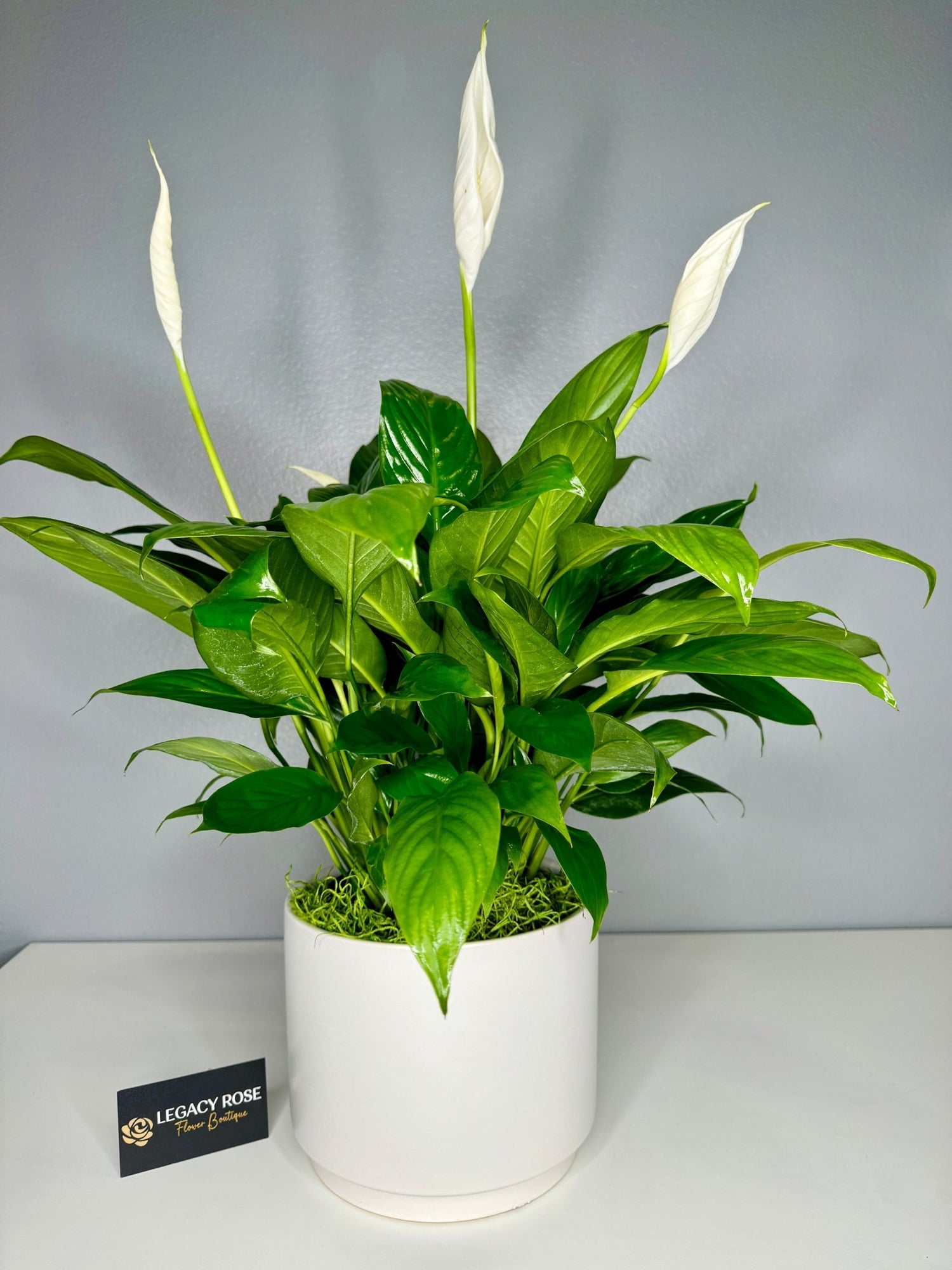 Sympathy Peace Lily - Legacy Rose TX